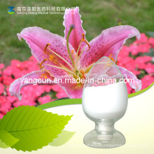 Lilium Brownii Polysaccharid (Lily-Polysaccharid) 50% ~ 95%